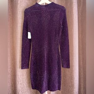 NWT Valentines Sparkly Mini Dress